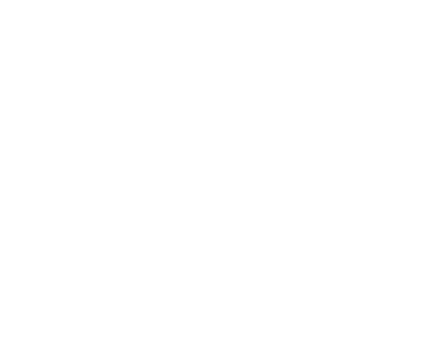 ROOSTER STUDIO